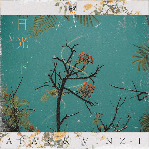 草莓视频香蕉视频
